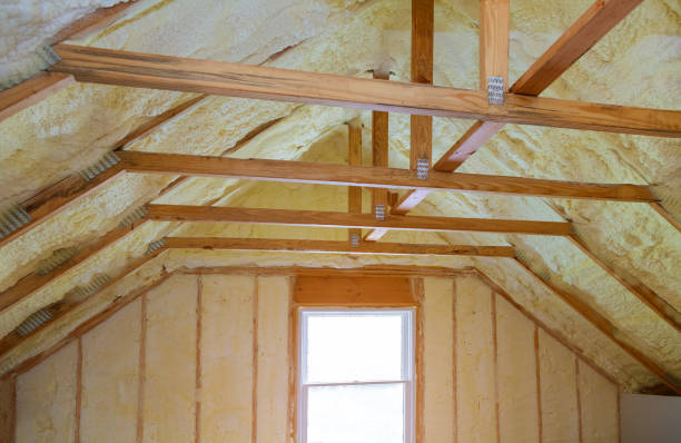 Best Spray Foam Insulation in Sconsin Dells, WI
