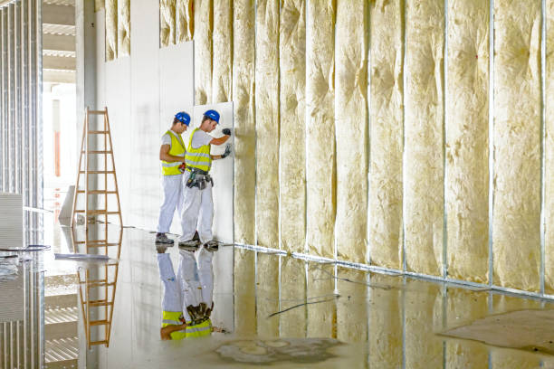Best Residential Insulation in Sconsin Dells, WI